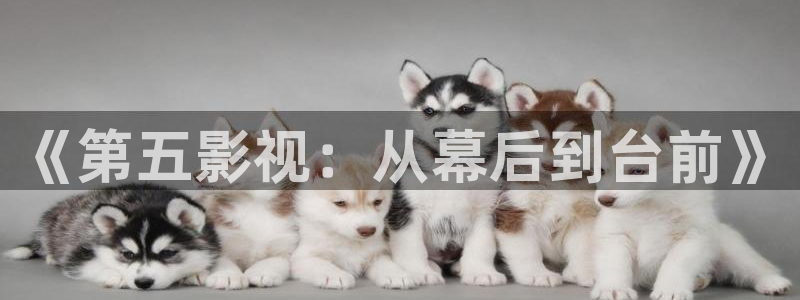麦田映像摄影怎么样：《第五影视：从幕后到台前》