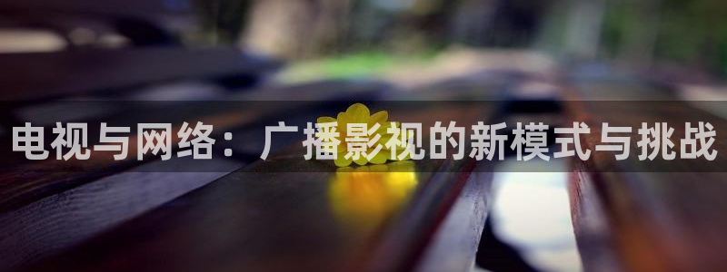 麦田影视在线观看免费：电视与网络：广播影视的新模式与挑战