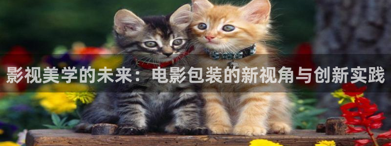 麦田影院官网免费观看：影视美学的未来：电影包装的新视角与创新实践
