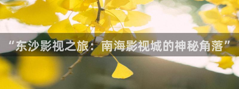 沂水九州麦田影城