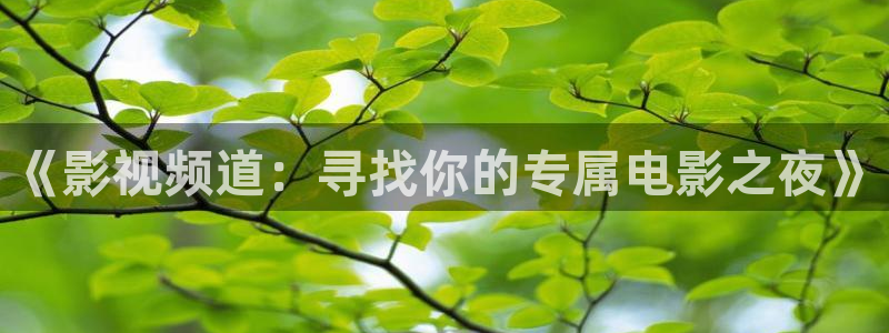 北京 麦田：《影视频道：寻找你的专属电影之夜》