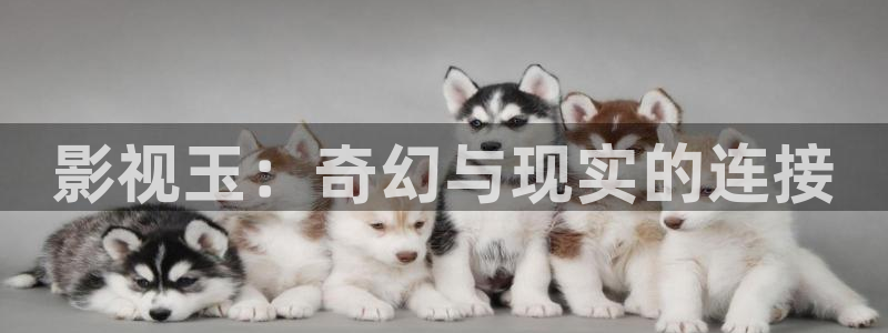 麦田影视官网下载