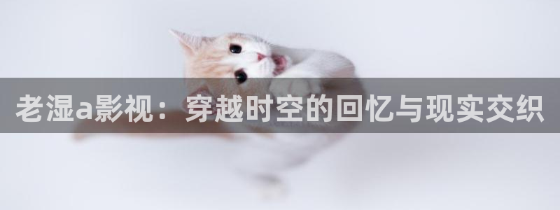 麦田北京