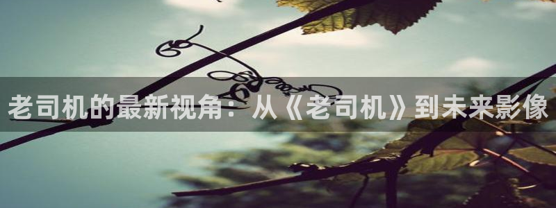 麦田影城