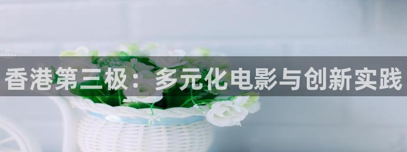 石家庄麦田汽车电影院影讯