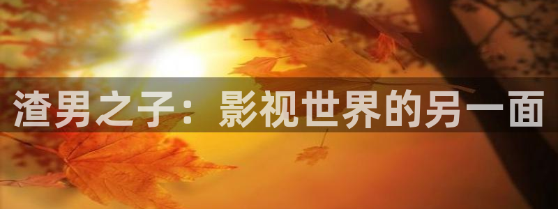 麦田影像