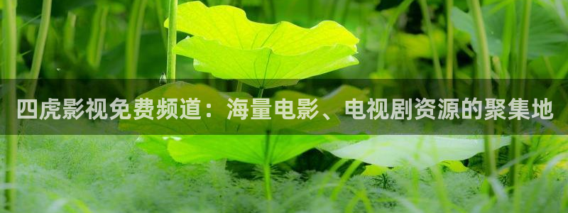 麦田映像官网